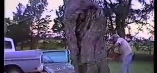 Man Saws Tree Trunk into Truck Bed: You Must Be Kidding Me!